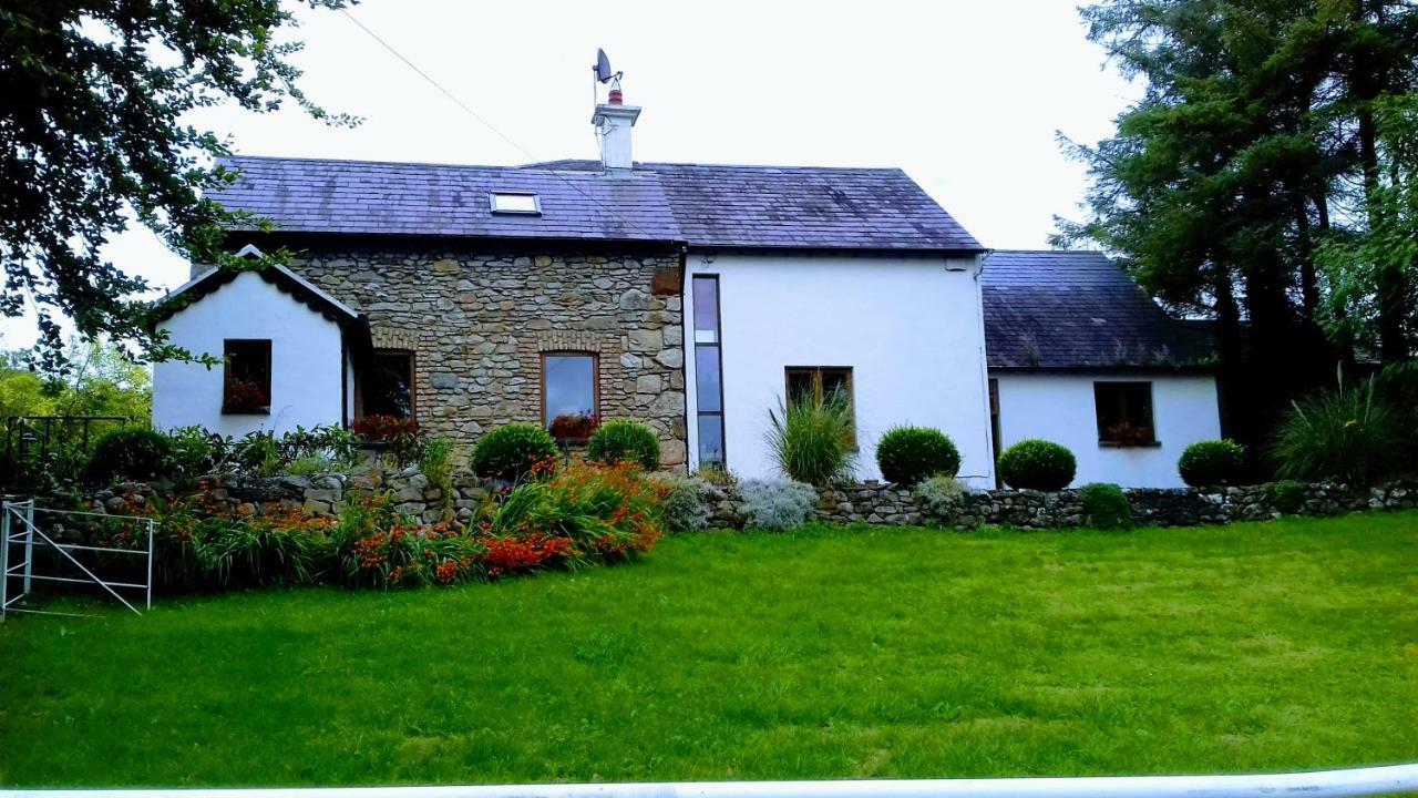 The Village Apartment Moate