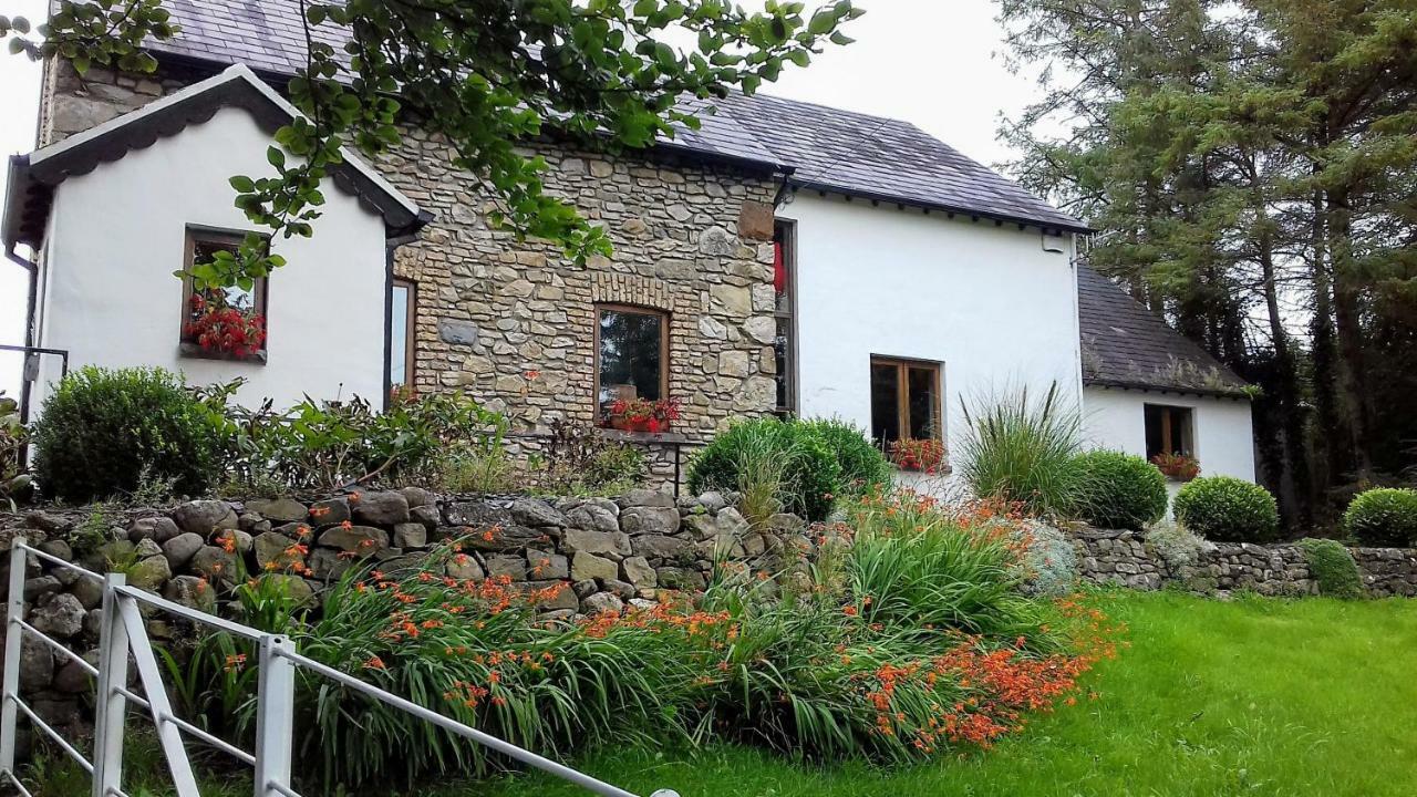 The Village Moate